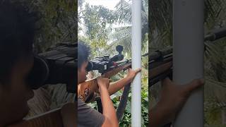 BERBURU BAJING KELAPA SUPER JINAK #shorts