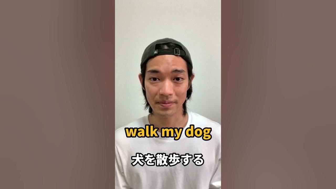 犬を散歩するって英語で言える Youtube
