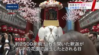 浅草寺で「花まつり」　幼稚園児が甘茶を掛けお祝い