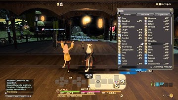 FINAL FANTASY XIV | How I Accidentally Make Friends