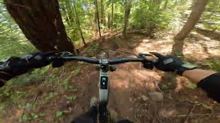 UCSC MTB | Train-trap-drop | Crestline RS180 | 5.10.25
