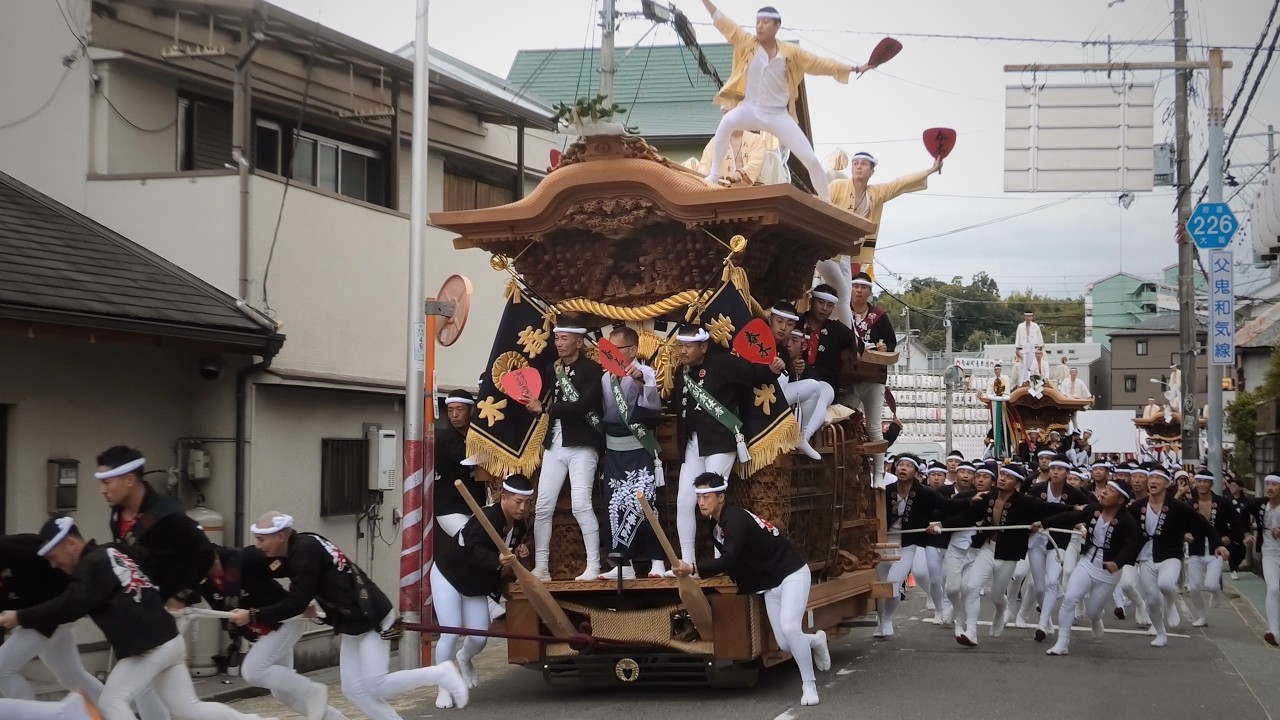 松尾連合だんじり祭2025 本宮-午後曳行 | 令和7年10月12日