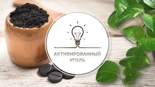 Польза активированного угля для растений Польза активированного угля для растений