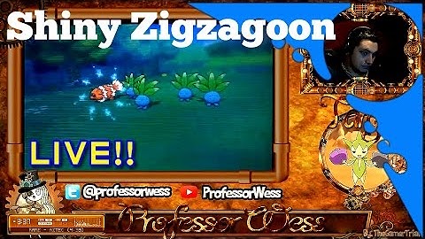 [LIVE!] Shiny Zigzagoon in Horde Encounter in Pokémon ORAS!