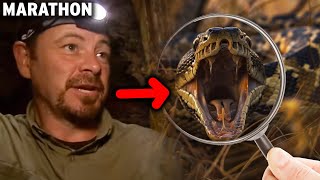 Chasing After THE Most Difficult Reptiles To Find In The Everglades | Curious?: Natural World