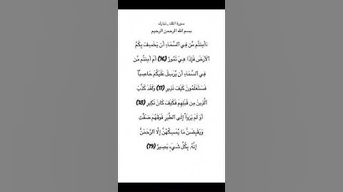سورة الملك _ تبارك من الاية 16 الي 19 #سورة_الملك #سورة_تبارك #محمد_الفقيه #القرآن_الكريم #quran
