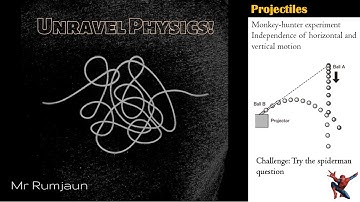 Projectiles: Monkey and hunter experiment