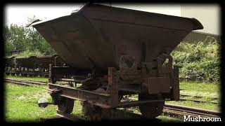Museumsfeldbahn Leipzig Lindenau e.V. - Impressionen