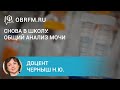 Доцент Черныш Н.Ю.: Снова в школу: общий анализ мочи