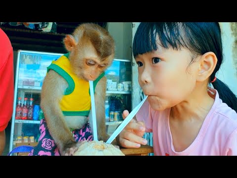 Update サムボーイとゴックさんは超かわいいココナッツウォーターを吸います