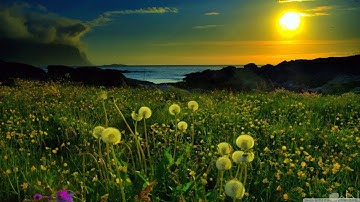 الشيخ احمد فؤاد مسجد الاباصيرى سورة التوبة ببنى سويف رمضان 2018 (33)#Sheikh_Ahmed_Fouad