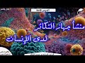 شرح الدرس السابع تكاثر التكاثر لدى الإنسان أ عادل جاسر