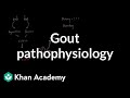 Understanding Gout and Uric Acid Metabolism