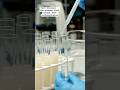 Amylase is found in saliva and also produced by the pancreas #amylase