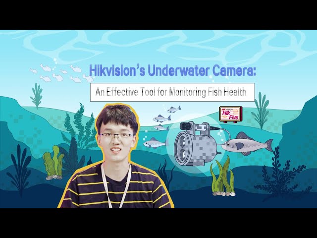 LINOVISION 4K Ultra HD PoE IP Underwater Camera 