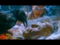 The Brothers Grimm 2005 Explained in Hindi | Fantasy