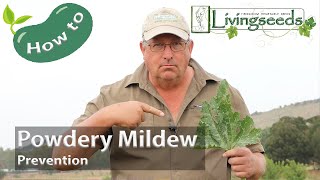 Stop Powdery Mildew (Comprehensive Tips for Powdery Mildew Management and Prevention)