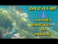 Pescasub Da 0 a 5 mt (A pesca nel basso fondo) con fucile ad aria compressa-IN RICORDO DI UN AMICO❤️