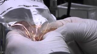 Seafood Micro Test Procedure
