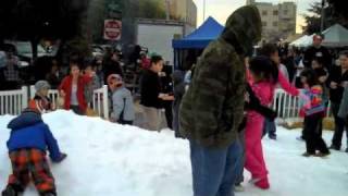 Snow Day 2010