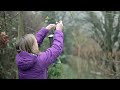 RSPB Big Garden Birdwatch: How to attract birds to your garden