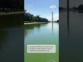 National Parks Service Treats Washington’s Reflecting Pool Amid Algal Bloom