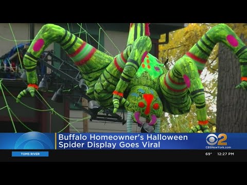 Buffalo Homeowner's Halloween Spider Display Goes Viral