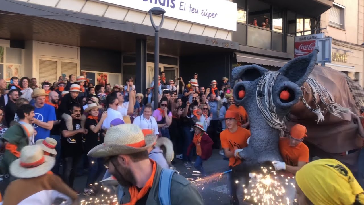 Correcuita del petit Camell de Molins de Rei (Festa Major de Sant Miquel 2024)