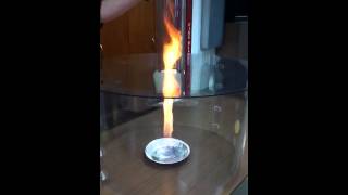 Celebrity SR Windsor 2012 - Fire tornado demonstration Net Worth