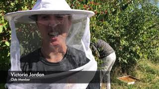 Simpson Swarm — Simpson's Beekeeping Club