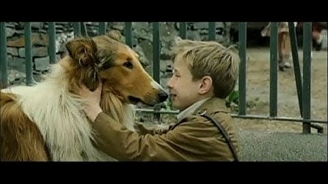 【映画】名犬ラッシー(2005) 予告
