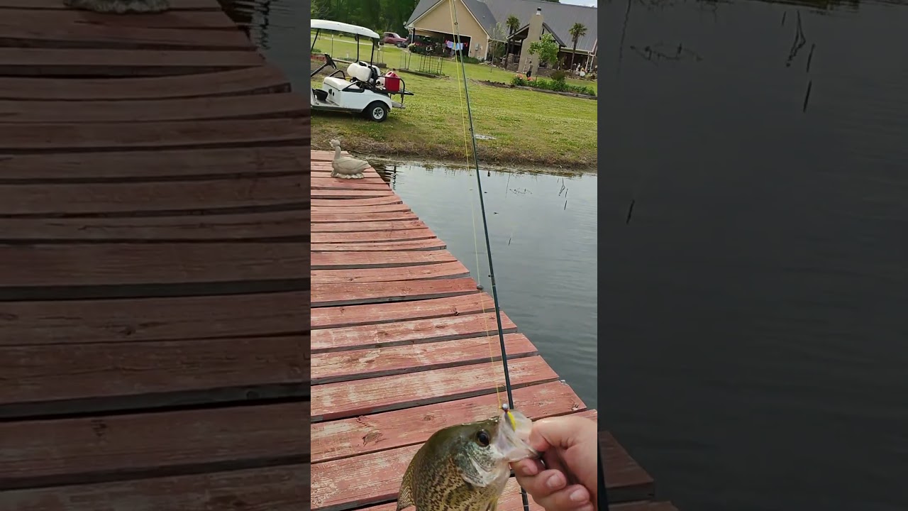 what's your favorite kind of fishing 🎣 