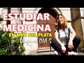 Estudiar medicina en mar del plata argentina  curso de ingreso y primer cuatrimestre joel y daimy