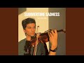 Summertime sadness violin