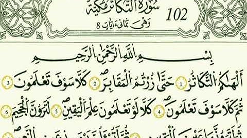 سورة التكاثر بصوت الشيخ الزين محمد احمد