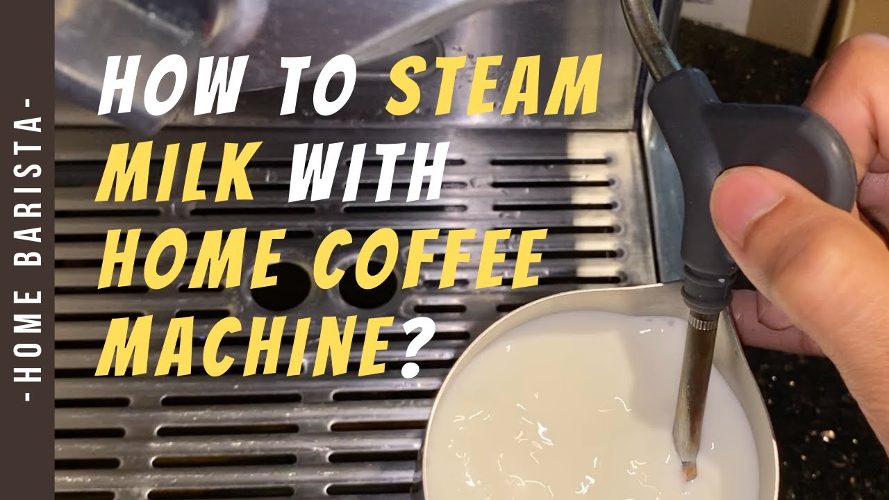 Steaming milk on a home espresso machine — Brewing With Dani