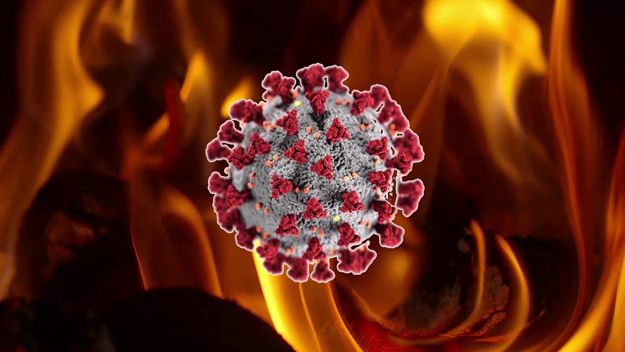 Burn Virus Burn 2 YouTube