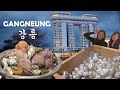 Seoul to gangneung road trip oyster  shellfish mukbang skybay gyeongpo hotel staycation