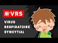 Le virus respiratoire syncytial vrs  index sant