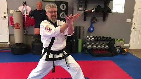 Pyung Ahn Sah Dan Hyung