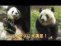 5/15シャオシャオもレイレイもオヤツに美味しい笑顔！giantpanda @tokyo 上野動物園