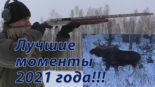 Лучшие выстрелы всех охот 2021 года!!! Гуси, утки,сурки,зайцы,лоси,кабаны, маралы!!!