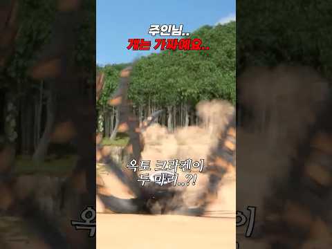 [헬로카봇 용사] <strong>주인님</strong>.. 걔는 가짜예요.. 😭 | 헬로카봇 용사 26화