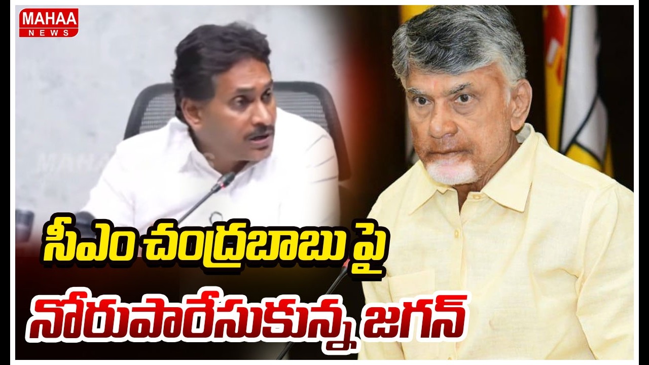 సీఎం చంద్రబాబు పై నోరుపారేసుకున్న జగన్ | YS Jagan Comments On CM Chandrababu