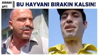 Avanak Apti Türk Filmi Avanak Apti, Urfalı Apti Ile Takışıyor