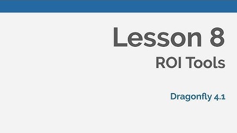 Dragonfly Daily 08 ROI (region of interest) tools in Dragonfly (2020)