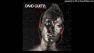 David Guetta - Love Don't Let Me Go (Instrumental With Backing Vocals)