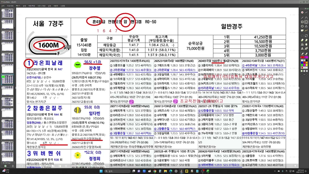 8월16일  일요경마  4두마권 브리핑  공개영상