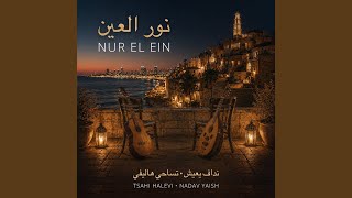 Nur El Ein