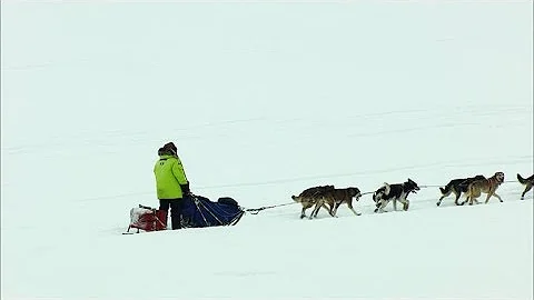 when was the first iditarod race